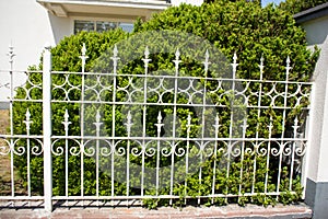 Steel white fence for a shrub