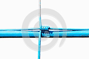 Steel wire fence from the grid with blue polymer coating isolated on white background.