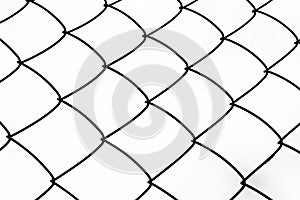 Steel wire mesh. Wire mesh fence isolated