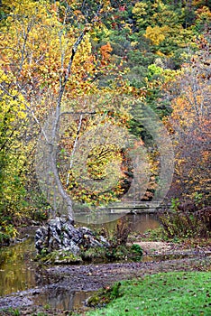 Steele Creek Wooden Bridge