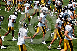 The Steelers