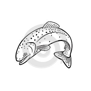 Steelhead Rainbow Trout or Columbia River Redband Trout Jumping Retro Stencil Black and White