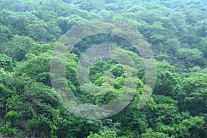 Steep Central American jungle landscape