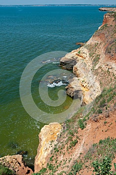 Steep clayey and shell rock shore overgrown with wild steppe vegetation on the island of Berezan, Ukraine