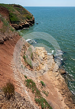 Steep clayey and shell rock shore overgrown with wild steppe vegetation on the island of Berezan, Ukraine