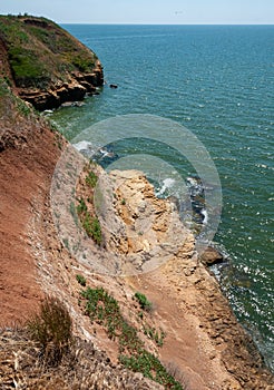 Steep clayey and shell rock shore overgrown with wild steppe vegetation on the island of Berezan, Ukraine