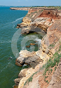 Steep clayey and shell rock shore overgrown with wild steppe vegetation on the island of Berezan, Ukraine