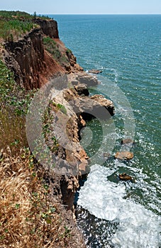 Steep clayey and shell rock shore overgrown with wild steppe vegetation on the island of Berezan, Ukraine