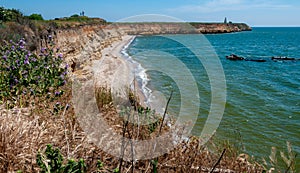 Steep clayey and shell rock shore overgrown with wild steppe vegetation on the island of Berezan, Ukraine