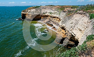 Steep clayey and shell rock shore overgrown with wild steppe vegetation on the island of Berezan, Ukraine