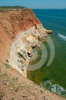 Steep clayey and shell rock shore overgrown with wild steppe vegetation on the island of Berezan, Ukraine