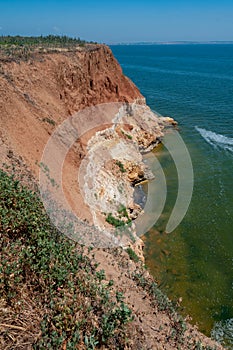 Steep clayey and shell rock shore overgrown with wild steppe vegetation on the island of Berezan, Ukraine