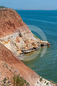 Steep clayey and shell rock shore overgrown with wild steppe vegetation on the island of Berezan, Ukraine