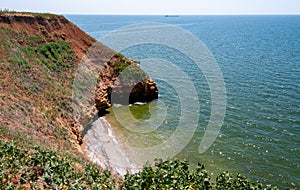 Steep clayey and shell rock shore overgrown with wild steppe vegetation on the island of Berezan, Ukraine