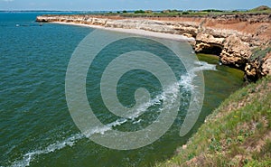 Steep clayey and shell rock shore overgrown with wild steppe vegetation on the island of Berezan, Ukraine