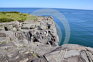 Steep cliff edge along Bay of Fundy at Point Prim