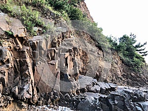 The steep cliff looks quite dangerous but trees are living there