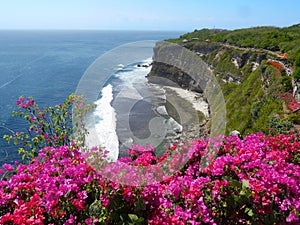 Steep cliff with lush vegetation Bali Indonesia