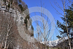 Steep cliff overgrown with trees close to KlÃÂ¶ntalersee lake photo