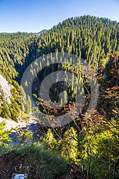 Steep cliff in romanian mountains