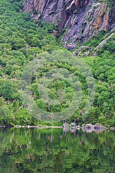 Steep forested slope between cliff and still waters