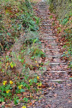 Steep garden steps.