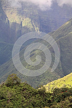 Waihe'e Ridge Trail Green Hills photo