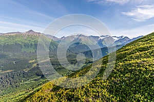 Alaska`s Kenai Peninsula Tundra, Forest and Snowcapped Mountains