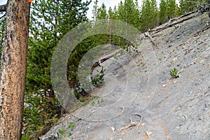 Steep hiking trail to the overlook for the Mystic Falls waterfall in Yellowstone National Park