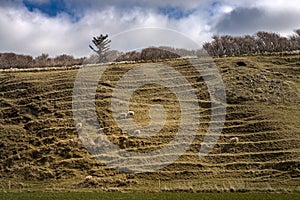 Steep hill with sheep grassing and blue sky