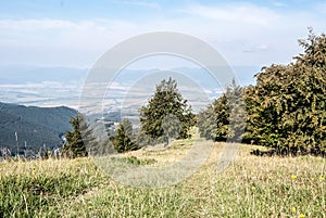 Steep mountain meadow with trees, pathway and blue sky in Velka Fatra mountains