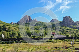 The steep mountain was treeless and surrounded by thick, deep forest