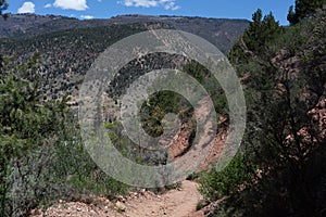 Trail to Doc Holliday`s Grave above Glenwood Springs photo