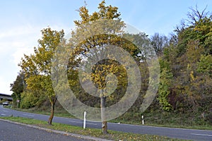 steep road to the Autobahn at A61