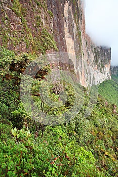 The steep rock wall of Monte Roraima photo