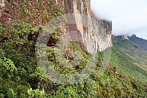 The steep rock wall of Monte Roraima
