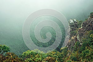 Steep rocky cliff with bushes and mist