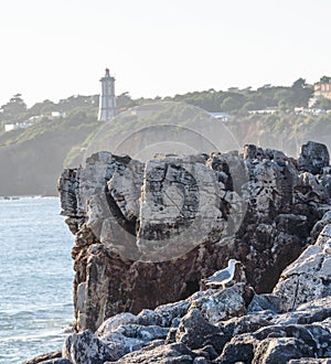 Steep rocky ocean shore