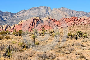 Red Rock Canyon in Nevada, USA.