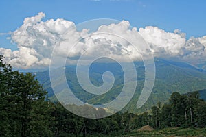 Steep slope on the mountain of the Northern Caucasus