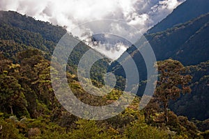 Steep slopes of costarican mountains covered by rainforest