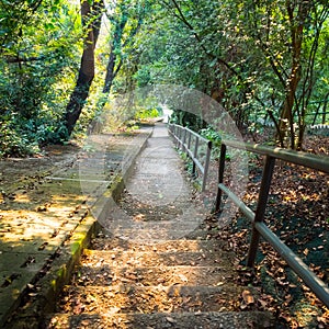 Steep stairs pathway