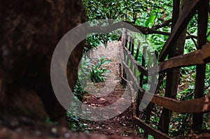 Steep steps down a path in a forest next to a big rock