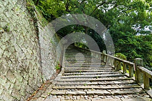 Steep stone stairs surrounded by green trees