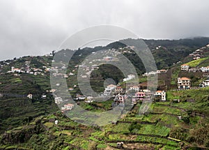 Steep terraced fields near Funchal in Madiera