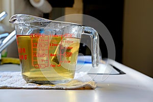 Steeping green tea bag