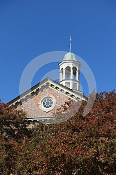 Steeple Rises Above the Trees in Chapel Hill, NC