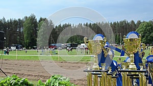 Steeplechase awards rider