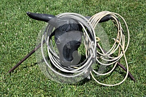 Steer head serves as a target for rope lassoing