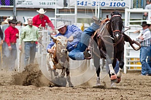 Steer Wrestling - PRCA Sisters, Oregon Rodeo 2011